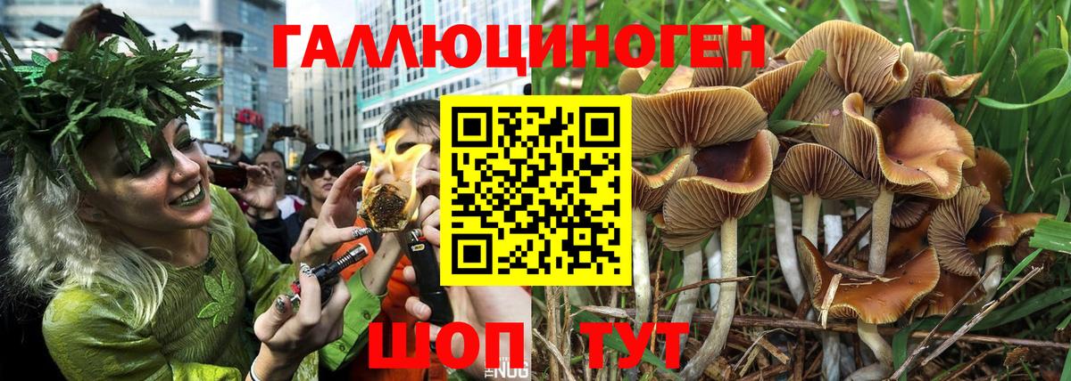 Псилоцибиновые грибы GOLDEN TEACHER Нягань