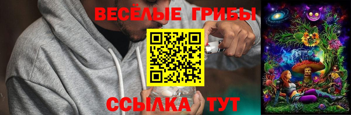 Нягань  Галлюциногенные грибы мицелий  Псилоцибиновые грибы ЛСД  Вход с VPN 